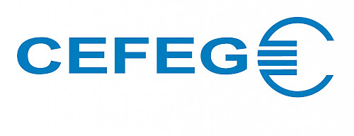 Logo der Firma CEFEG GmbH
